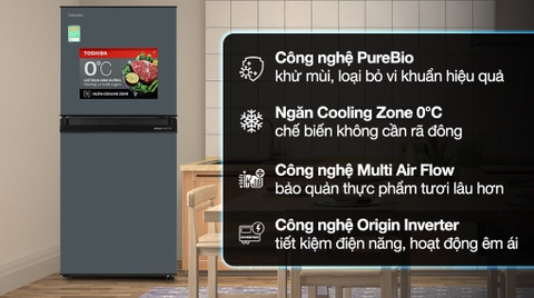 Tủ Lạnh Toshiba Inverter 233 Lít GR-RT303WE-PMV(52)