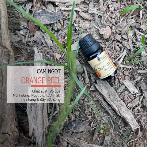 Tinh dầu Cam Ngọt ORANGE PEEL