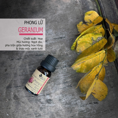 Tinh dầu Phong Lữ GERANIUM