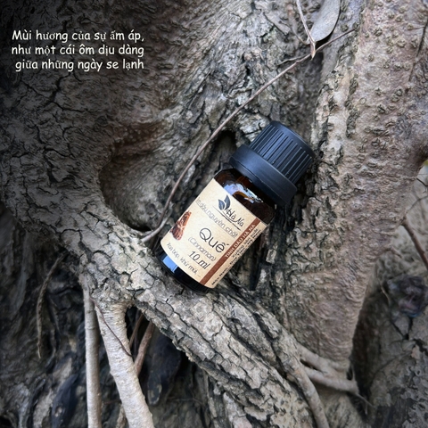 Tinh dầu Quế CINNAMON