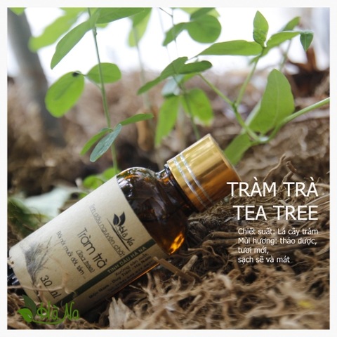 Tinh dầu Tràm Trà TEA TREE