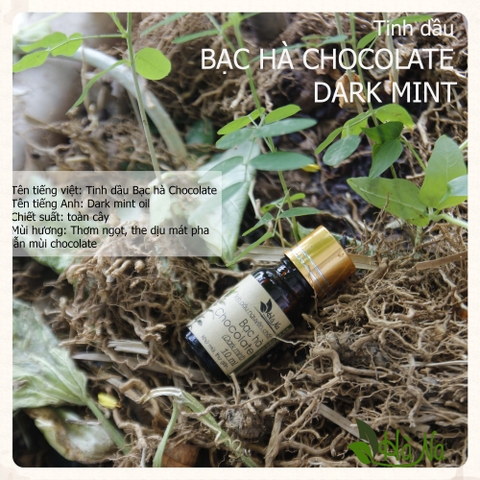 Tinh dầu Bạc Hà Chocolate DARK MINT