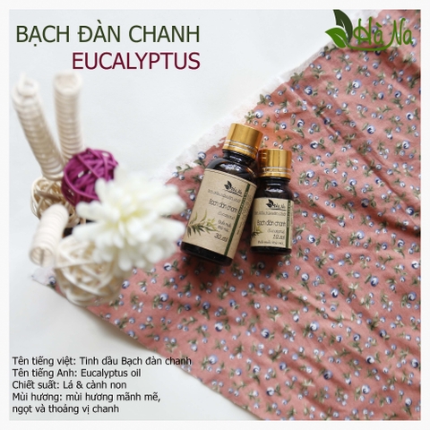 Tinh dầu Bạch Đàn Chanh EUCALYPTUS