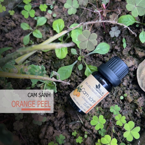 Tinh dầu Cam Sành ORANGE PEEL