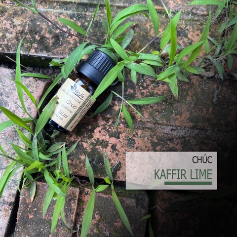 Tinh Dầu Chúc KAFFIR LIME