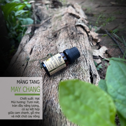 Tinh dầu Màng Tang LITSEA