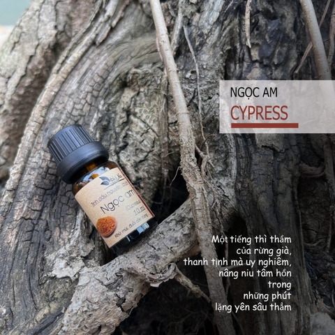 Tinh dầu Ngọc Am CUPRESSUS
