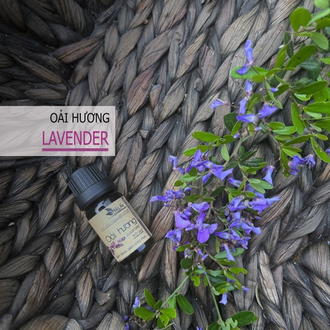 Tinh dầu Oải Hương LAVENDER