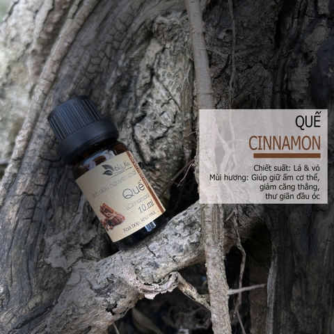 Tinh dầu Quế CINNAMON