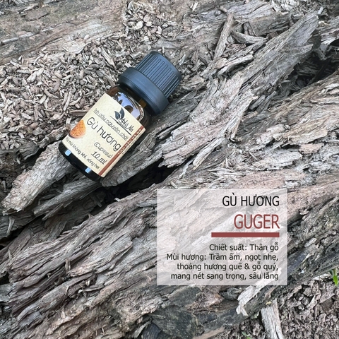 Tinh dầu Gù Hương GUGER