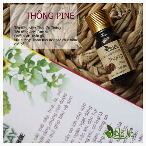 Tinh dầu Thông PINE