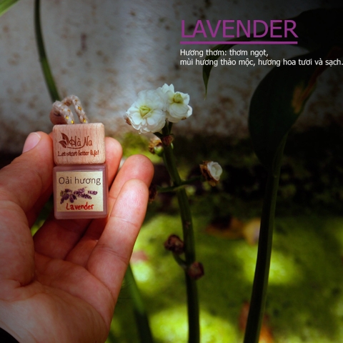 Tinh dầu treo Lavender