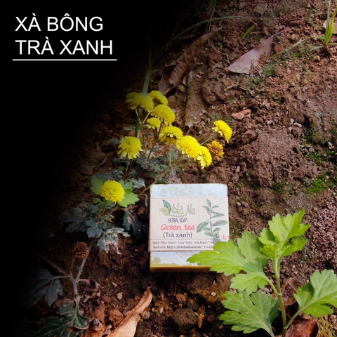 Xà Bông Thảo Dược Trà Xanh