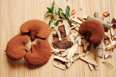 Công dụng của Nấm Linh Chi