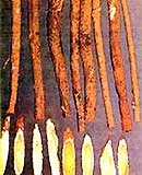 Các món ăn cho người lao động trí óc