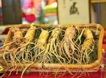 Ngộ nhận chết người khi dùng nhân sâm
