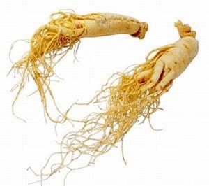 Sáu loại bệnh nên kiêng dùng nhân sâm