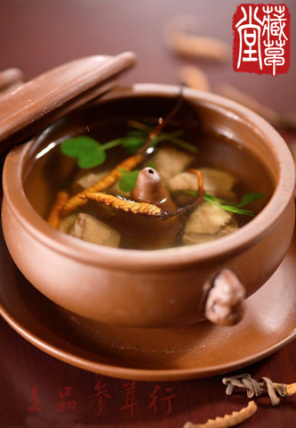 Những điều cần lưu ý khi dùng Đông trùng hạ thảo