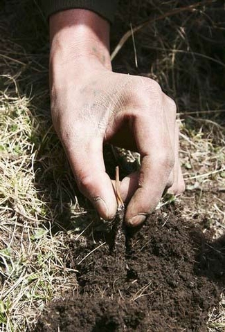 Hàng ngàn người 