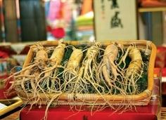 Cẩn thận khi dùng nhân sâm 