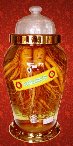 Cách Ngâm Rượu Sâm 