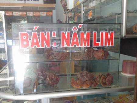 Buôn bán “thần dược” ở Tiên Phước