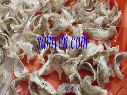 Tổ Yến - di sản cung đình