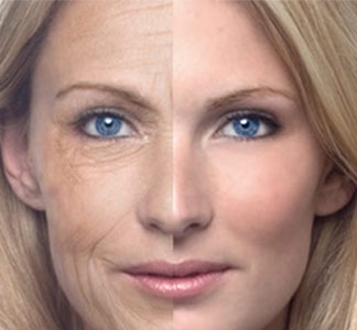 Công dụng riêng của các loại nấm linh chi