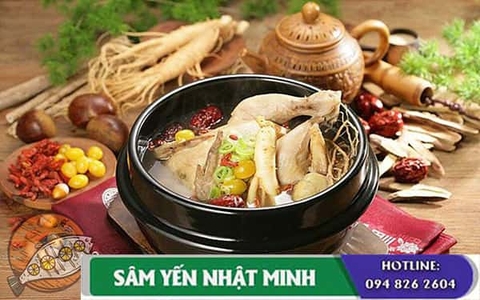 Bí quyết hầm gà nhân sâm tươi bổ dưỡng