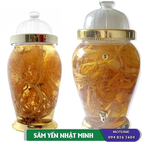 Bình thủy tinh ngâm rượu Yongcheon Hàn Quốc có tốt không?