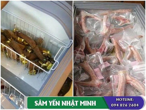 Cách bảo quản nhung hươu hữu ích cho người dùng?