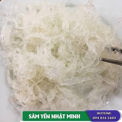 Tổ yến thật và cách chọn mua tổ yến chất lượng