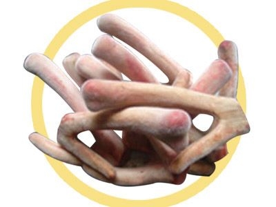 Cách dùng Nhung Hươu