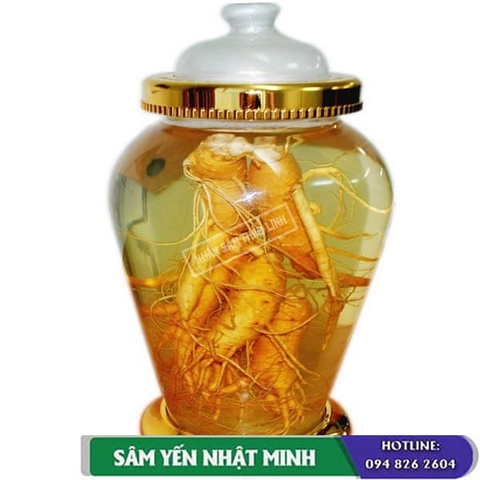 Cách ngâm rượu nhân sâm hàn quốc, công dụng như thế nào?