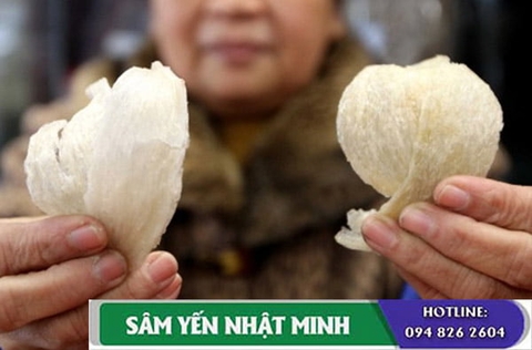 Cách Nhận Biết Tổ Yến Giả - Tác Hại