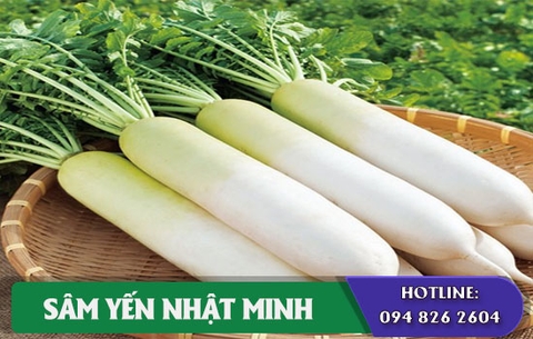 Bạn có biết vì sao Củ cải được xem là nhân sâm đất?