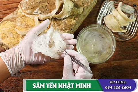 Chế Biến Tổ Yến - Làm Sạch Tổ Yến Thô
