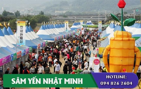 Chợ nhân sâm lớn nhất thế giới tại Hàn Quốc “khủng” thế nào?