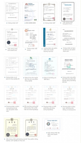 Giới thiệu và Chứng nhận Daedong Red Ginseng