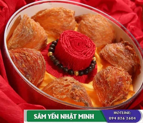 Công Dụng Của Yến Huyết - Lợi Ích Cho Sức Khỏe Con Người