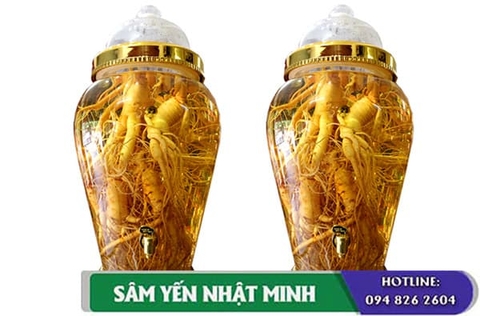 Công Dụng Rượu Nhân Sâm Hàn Quốc