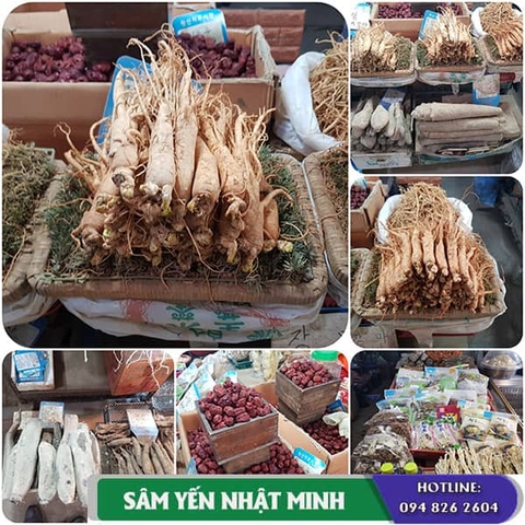 Giá nhân sâm tươi ở Việt Nam trung bình hiện nay là bao nhiêu?