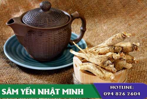 Khi nào nên bảo quản nhân sâm tươi trong tủ lạnh