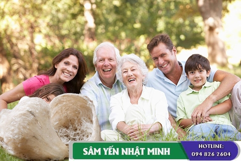 Mua yến tổ để chăm sóc sức khỏe cho người già hiệu quả