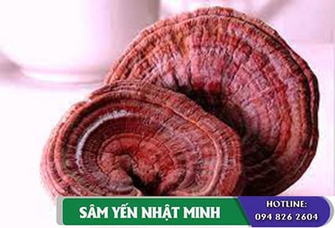 Nấm Linh Chi Hàn Quốc Từ Thiên Nhiên