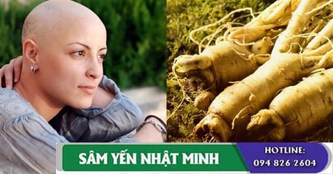 Ngăn Ngừa Ung Thư Bằng Nhân Sâm?