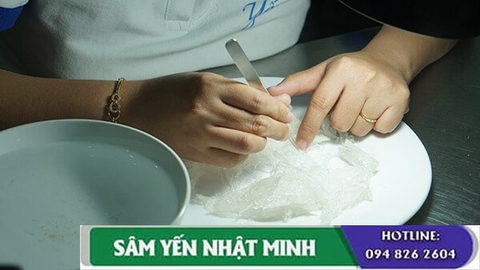 Chia Sẽ Cách Nhặt Lông Yến Nhanh Nhất