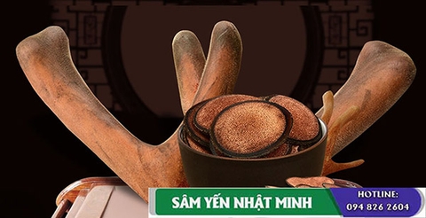Tác dụng của nhung hươu với phụ nữ