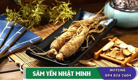 Cửa hàng bán nhân sâm hàn quốc hồng sâm tại tphcm