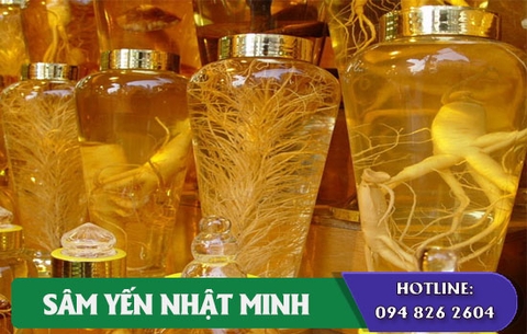 Cách ngâm rượu với nhân sâm bổ dưỡng đúng vị thế nào?